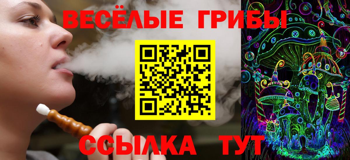 Галлюциногенные грибы Cubensis  Вход с VPN  Амурск 